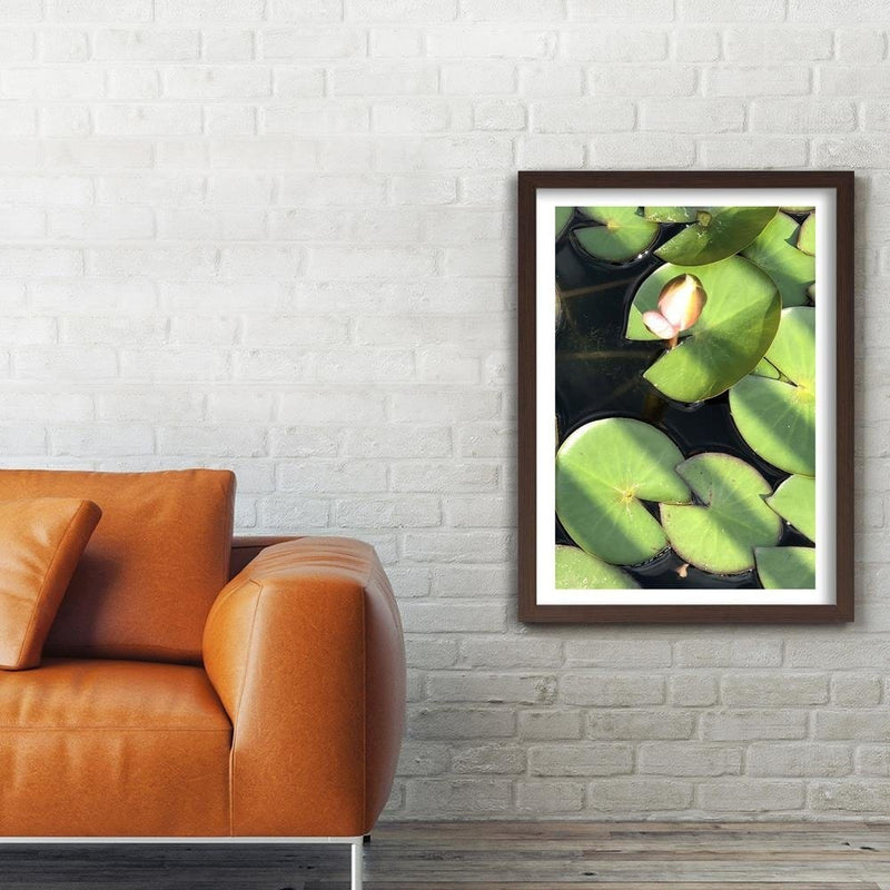 Glezna brūnā rāmī - Water Lily Bud  Home Trends DECO