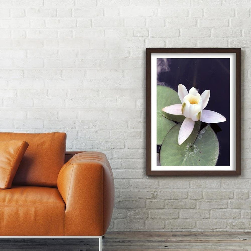 Glezna brūnā rāmī - Water Lily Flower  Home Trends DECO