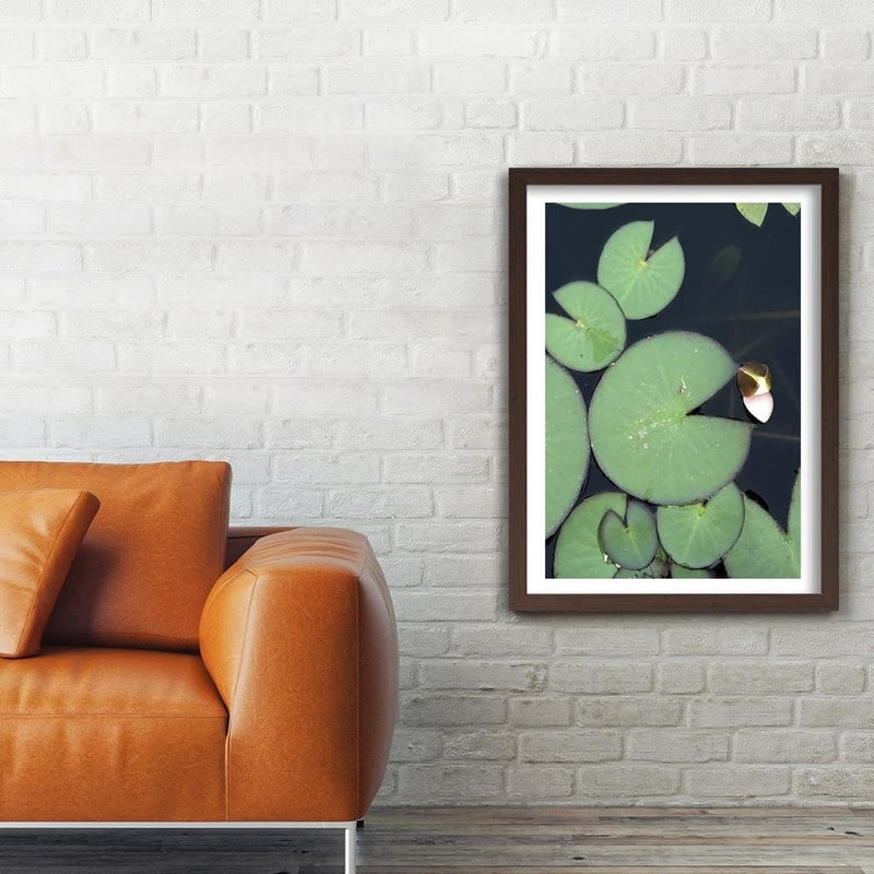 Glezna brūnā rāmī - Water Lily Leaves  Home Trends DECO