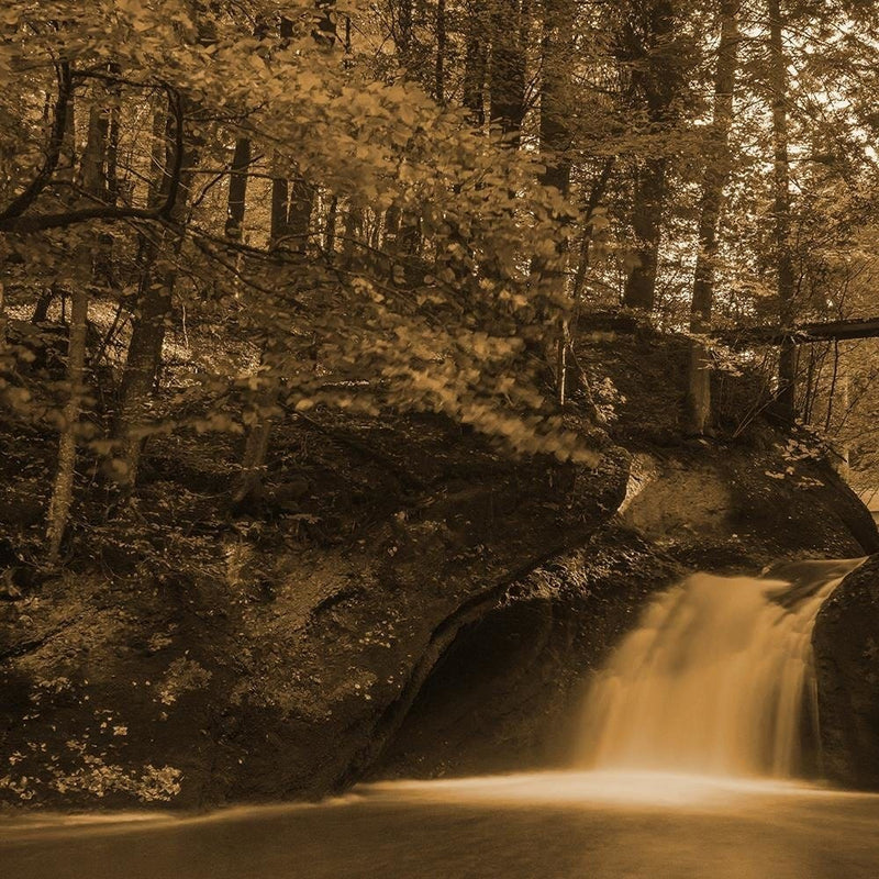 Glezna brūnā rāmī - Waterfall And Autumn Trees 1  Home Trends DECO