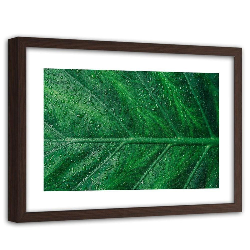 Glezna brūnā rāmī - Wet Leaf Close Up  Home Trends DECO