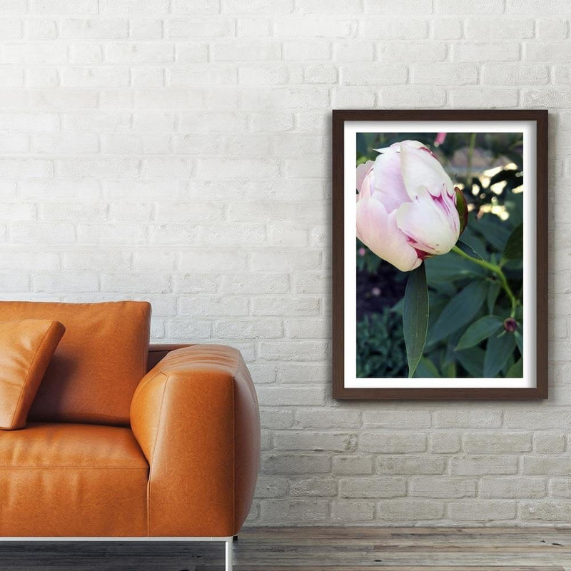 Glezna brūnā rāmī - White Peony  Home Trends DECO