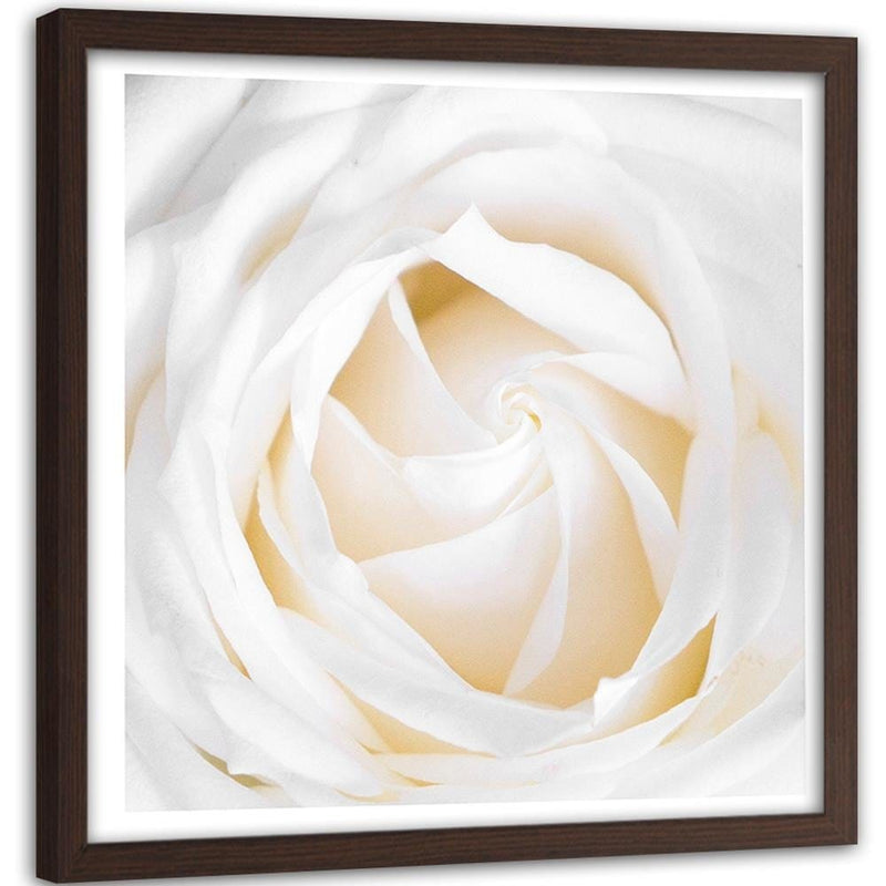 Glezna brūnā rāmī - White Rose 2  Home Trends DECO