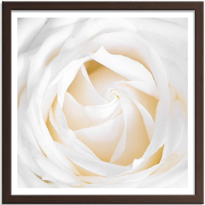 Glezna brūnā rāmī - White Rose 2  Home Trends DECO