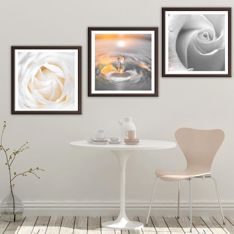 Glezna brūnā rāmī - White Rose 2  Home Trends DECO