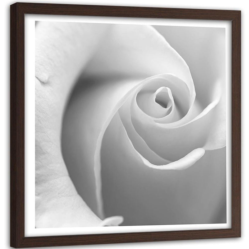 Glezna brūnā rāmī - White Rose 3  Home Trends DECO