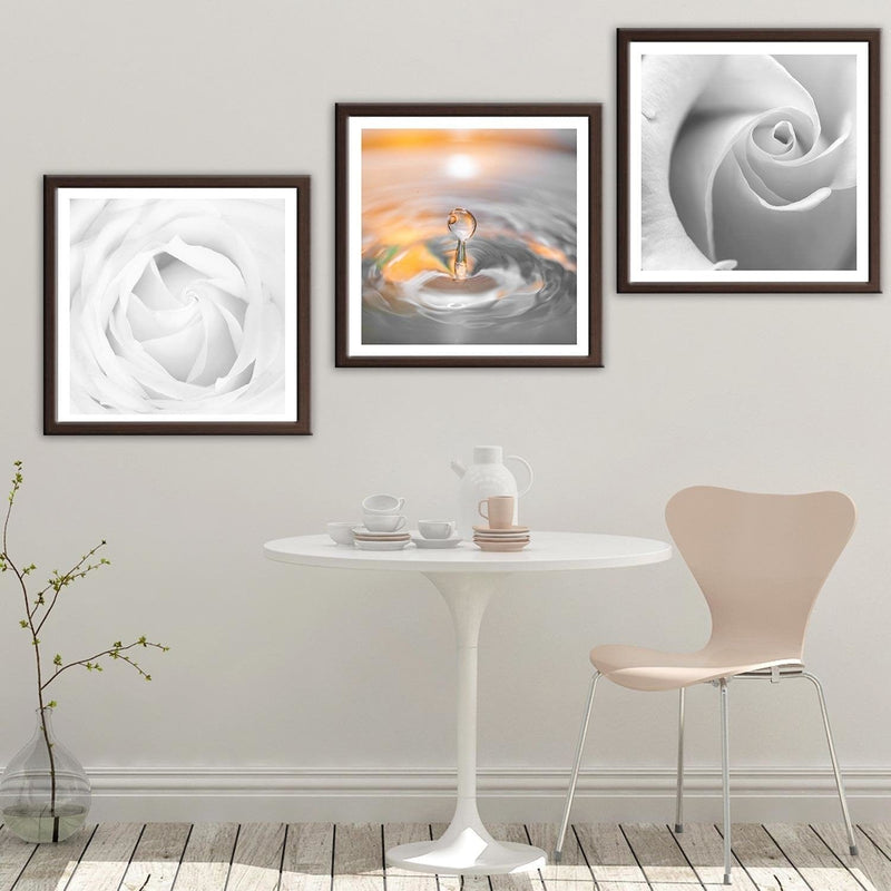 Glezna brūnā rāmī - White Rose 3  Home Trends DECO