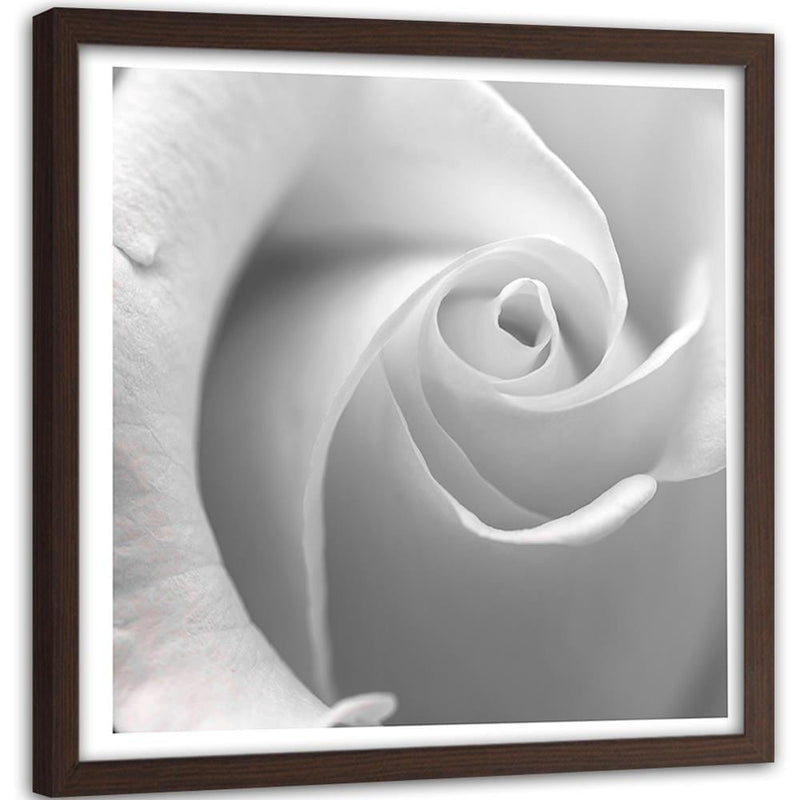 Glezna brūnā rāmī - White Rose  Home Trends DECO