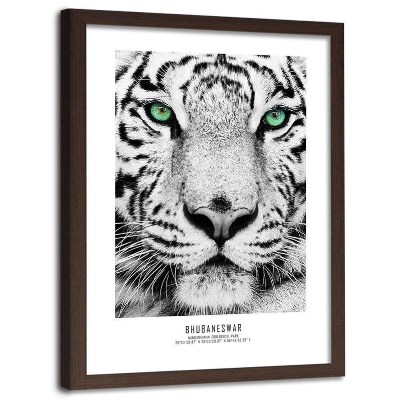 Glezna brūnā rāmī - White Tiger  Home Trends DECO