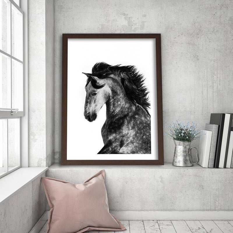 Glezna brūnā rāmī - Wild Steed  Home Trends DECO