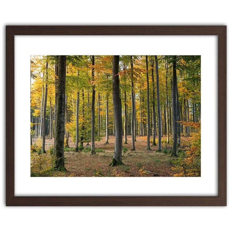 Glezna brūnā rāmī - Yellow Autumn Forest  Home Trends DECO