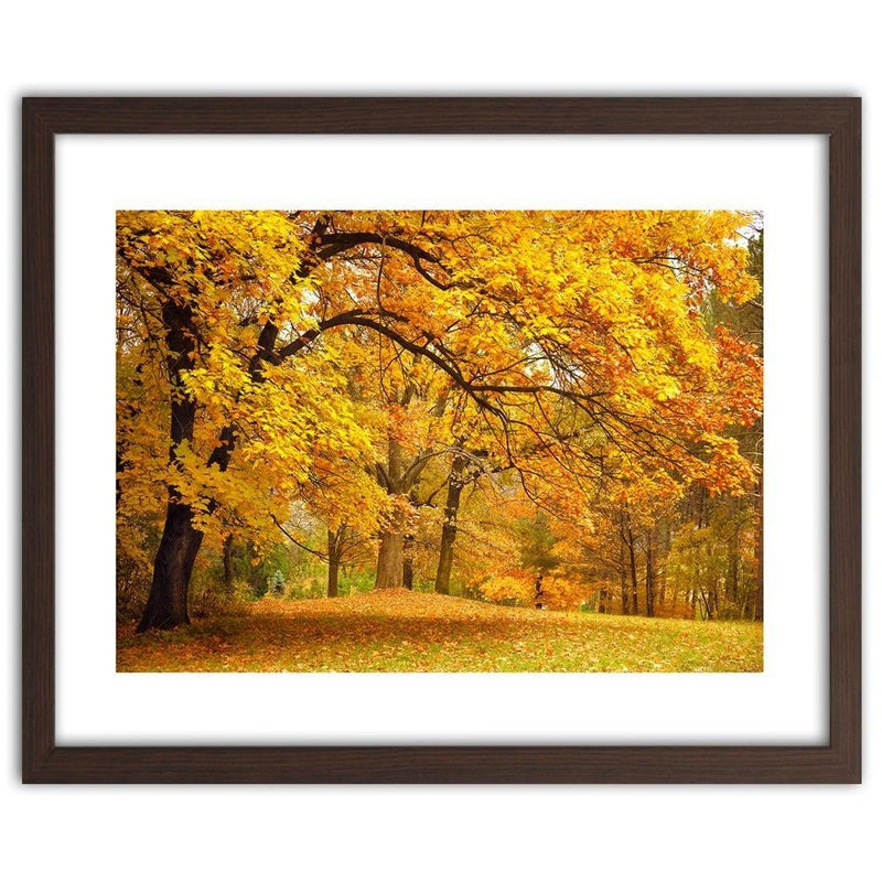 Glezna brūnā rāmī - Yellow Autumn Trees  Home Trends DECO