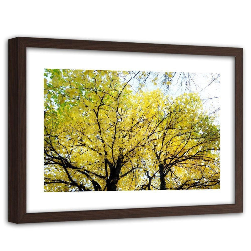 Glezna brūnā rāmī - Yellow Leaves On A Tree  Home Trends DECO