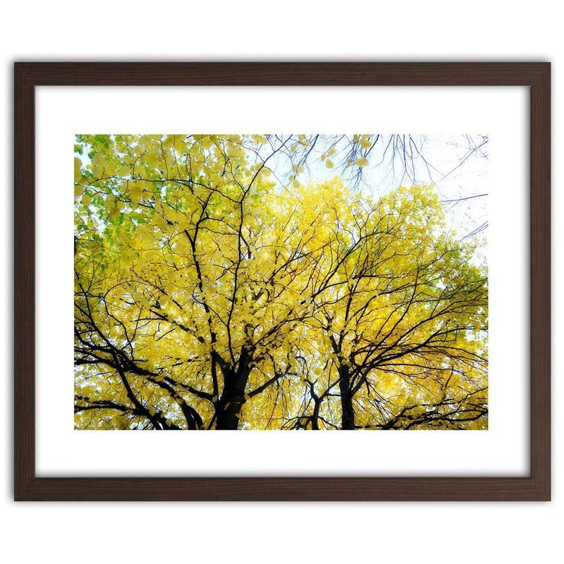 Glezna brūnā rāmī - Yellow Leaves On A Tree  Home Trends DECO