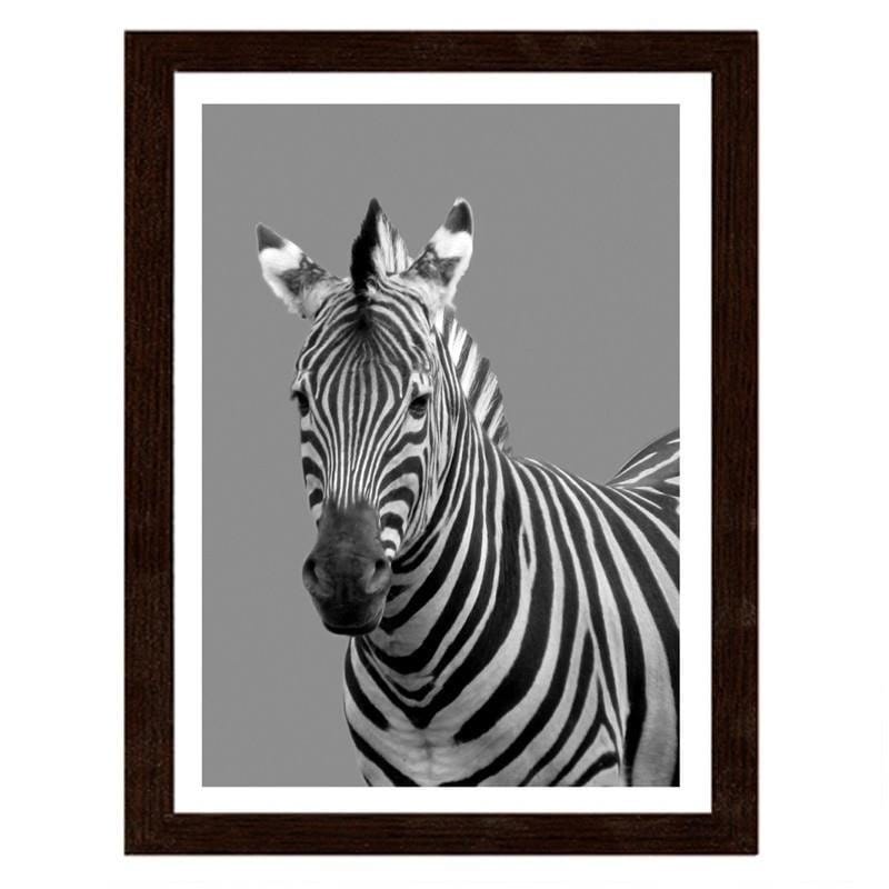 Glezna brūnā rāmī - Zebra in black and white  Home Trends DECO