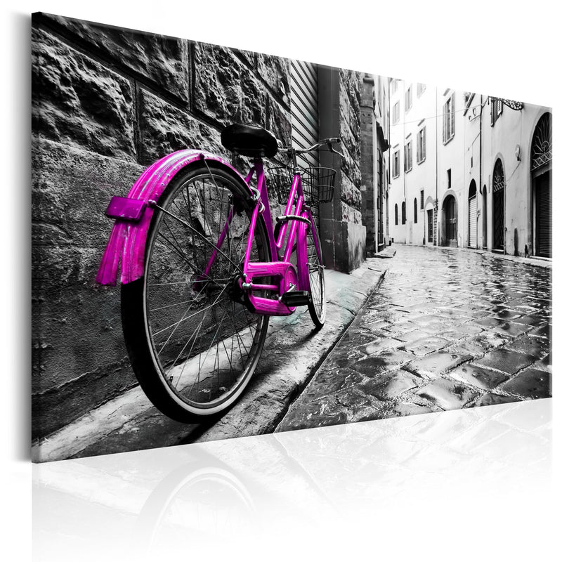 Glezna - Vintage Pink Bike Home Trends
