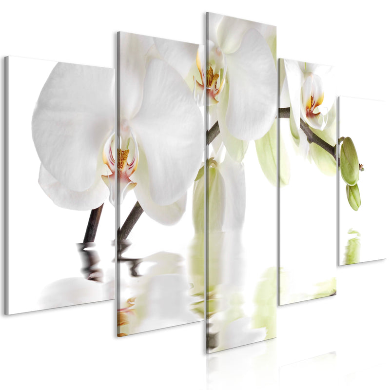 Glezna - Wonderful Orchid (5 Parts) Wide Home Trends